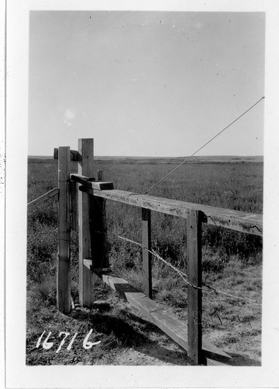 Farm Gate