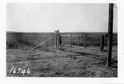 Farm Gate