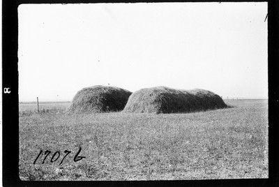 Haystacks