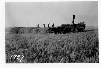 Grain - Threshing