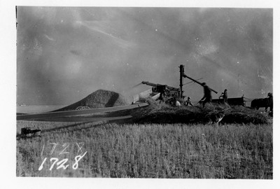 Wheat - Threshing