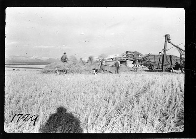 Threshing Crew