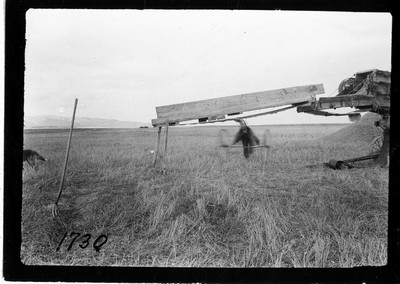 Threshing Machine Feeder