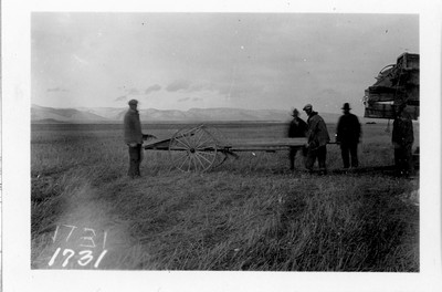 Threshing Machine Feeder