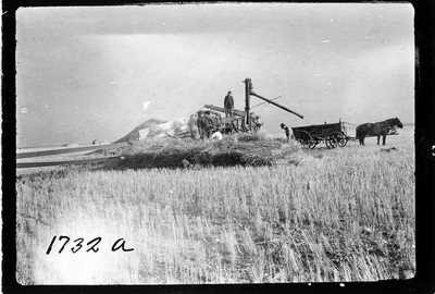 Grain - Threshing