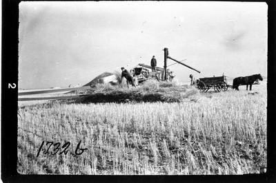 Grain - Threshing