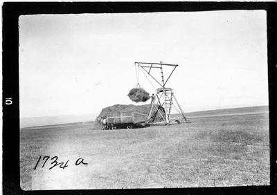 Hay Stacker