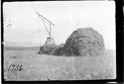 Hay Stacker