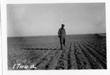 Duckfoot Summer Fallow