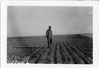 Duckfoot Summer Fallow