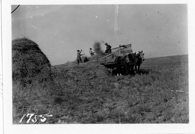 Grain - Unloading