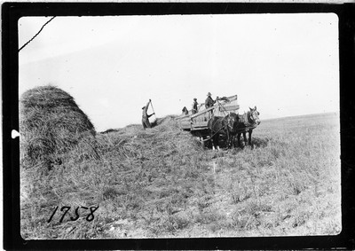 Wagons