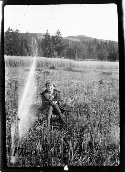 Oat Field