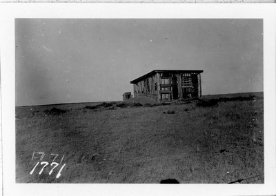 Abandoned Homestead