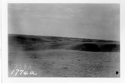 Grazing Land