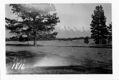 Mountain Scene