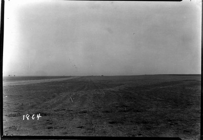Grasshopper Damage