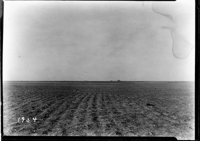 Duckfoot Summer Fallow