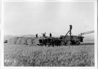 Grain - Threshing