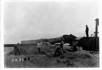 Grain - Threshing