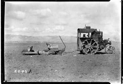 Wheat - Harvesting