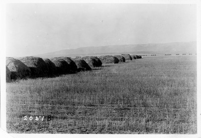 Hart Ranch