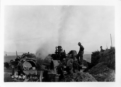 Wheat Harvesting Methods