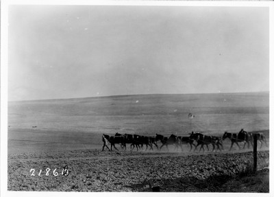 Big Teams - Washington Wheat Farming