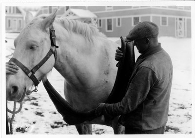 Big Teams - Harness Equipment