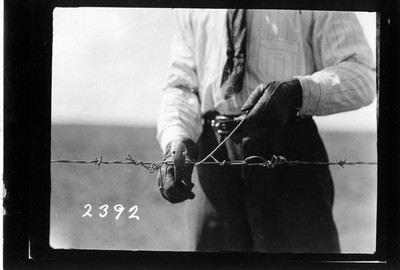 Farm Conveniences - Livestock Fencing