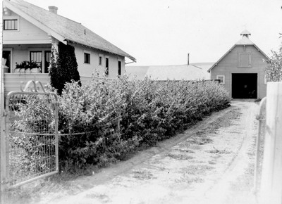 Farmstead