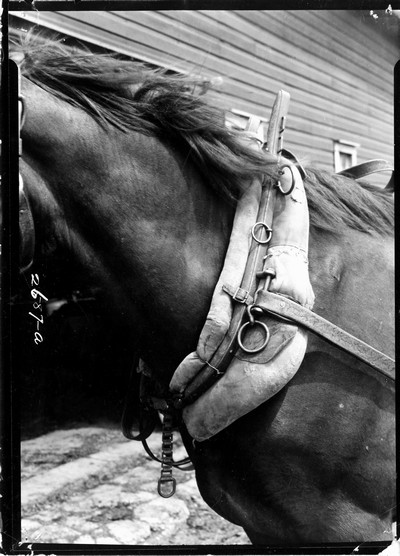 Big Teams - Hallman Methods