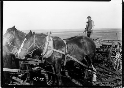 Big Teams - Hallman Methods