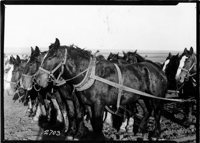 Big Teams - Hallman Methods