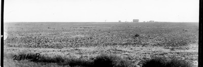 Cloverleaf Farm - Summer Fallow