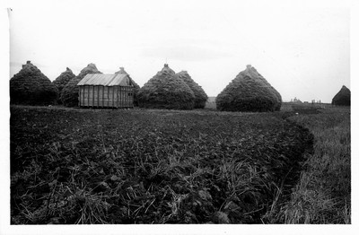 Farm Management