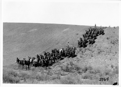 Two 20-Mule Teams Disking