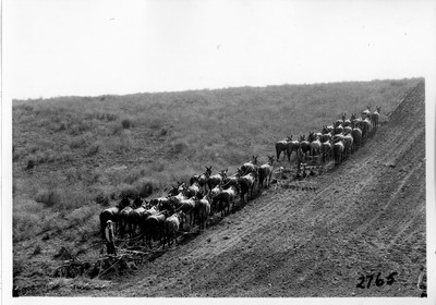 Two 20-Mule Teams Disking