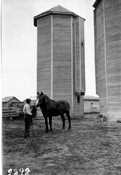 Davis Farm - Silos