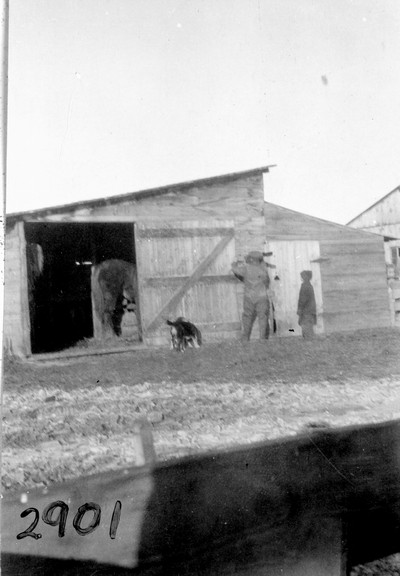 Davis Farm - Buildings