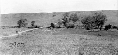Rosebud Farm - Wild Cat Creek