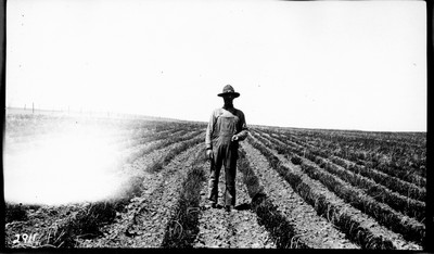 Richland Farm