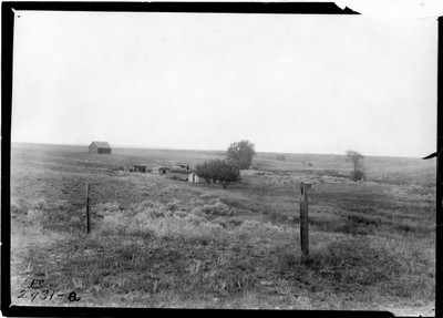 Rosebud Farm