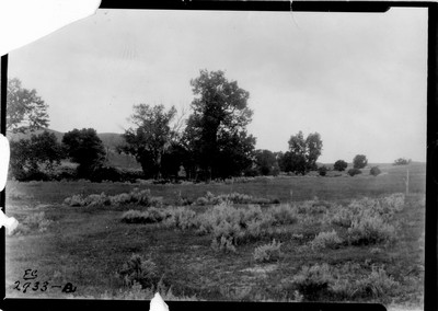 Rosebud Farm - Wild Cat Creek