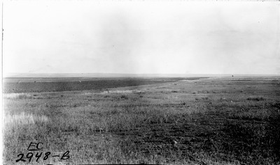Lone Warrior Farm - Fallow