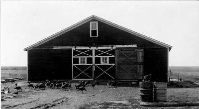 Cloverleaf Farm - Barn