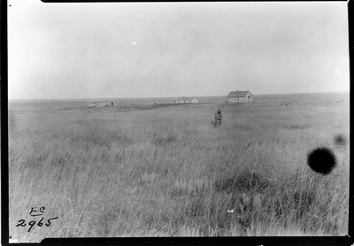 Lone Warrior Farm