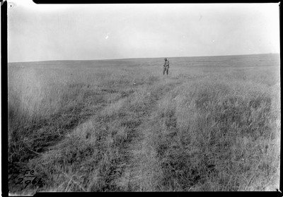 Abandoned Land
