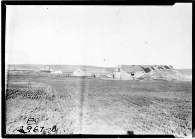Yanktoni Farm - Buildings
