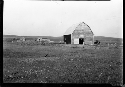 Yanktoni Farm